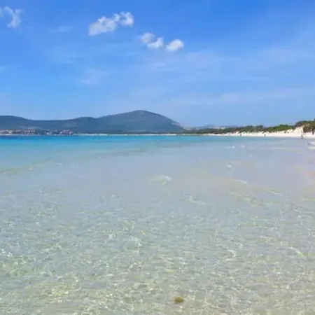 Apartmán 15min A Piedi Dal Centro Con Patio Privato! Alghero